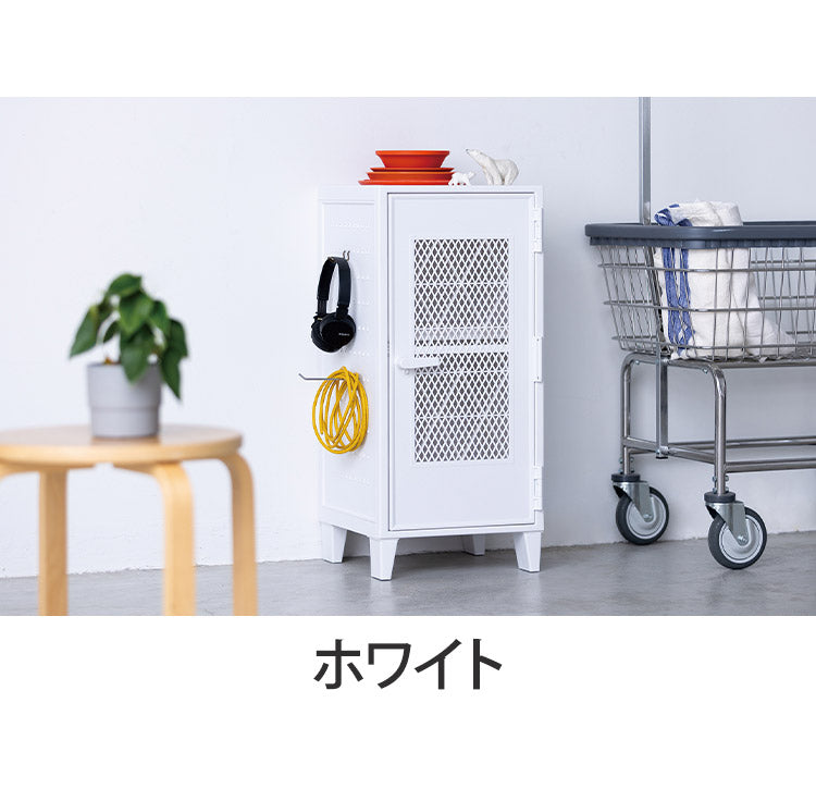 ロッカー風収納ケース メッシュ ペグボード付き 扉 キャビネット ラック 棚 収納ボックス プラスチック収納 フィッツ Fits おしゃれ シンプル(代引不可)