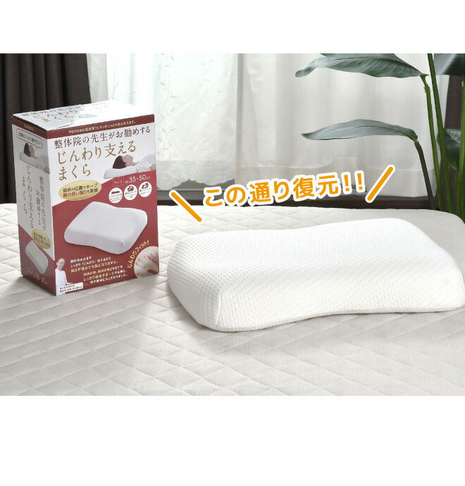 枕 まくら じんわり支える枕 35×50cm 低め 整体師が勧める 低反発ウレタンフォーム いびき対策 体圧分散 快眠枕 じんわり 低めが好きな方 仰向け(代引不可)