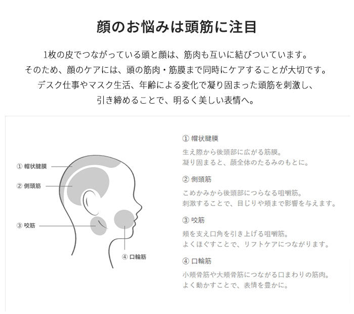 AiMY エイミー ビーブラッシュ BEE BRUSH 電気ブラシ ブラシ EMS 美顔器 頭皮 頭筋 リフト エイジングケア 美容家電 ほうれい線 毛穴 スパ ヘッドスパ 美肌 口角 小顔 プレゼント ギフト AIM-BT130