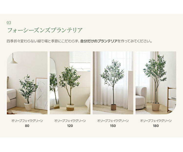 roommhome オリーブの木 180cm フェイクグリーン 人工観葉植物 造花 観葉樹 室内 観葉植物 オリーブ グリーン ルームアンドホーム(代引不可)