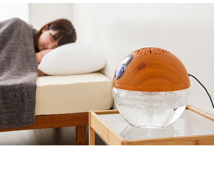 空気清浄機 小型 バイオナースボール DX「水で空気を洗う」 アロマ空気清浄機 大容量 除菌 消臭付 タイマー機能 PM2.5 対応 花粉 黄砂 LEDライト シャンパンゴールド ウッドスタイル 水空気洗浄器 ソウイジャパン