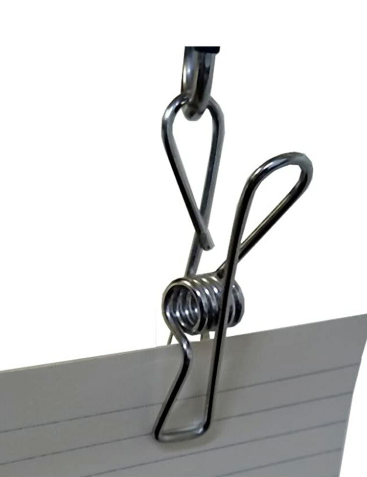 大木製作所 ステンレス 洗濯ばさみ ピンチ 10個セット 00357-9 洗濯物干し ランドリー 収納 シンプル 丈夫 Ohki