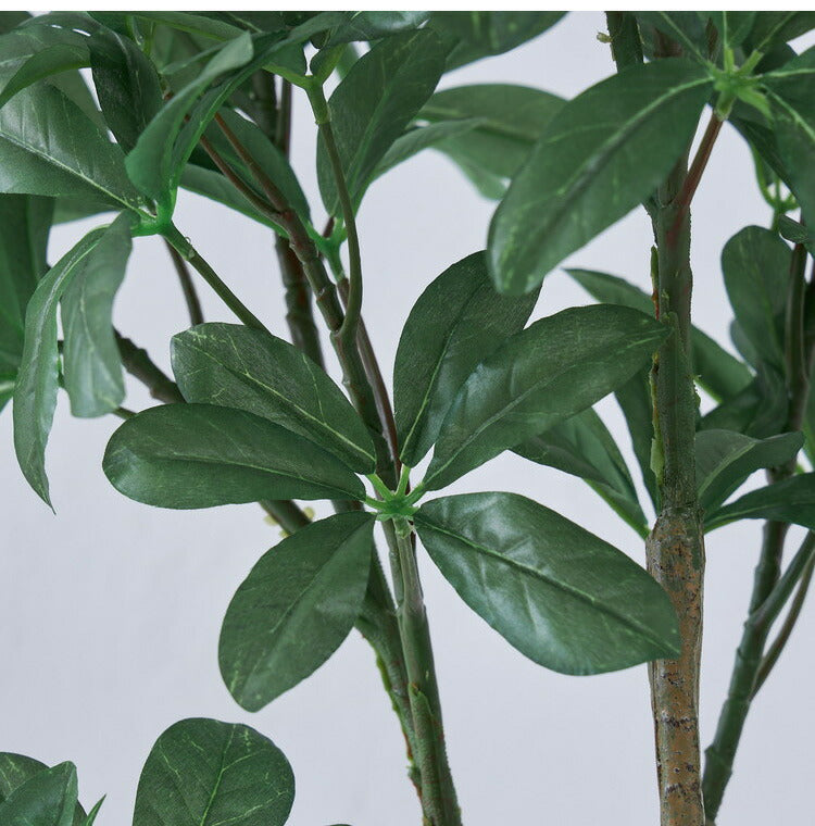 フェイクグリーン カボックツリー 約126cm 抗菌 消臭 観葉植物 フェイク 光触媒 人工観葉植物 インテリア おしゃれ 鉢 植木 葉 枝 木 室内 玄関 リビング オフィス 爽やか(代引不可)