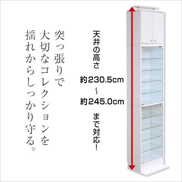 コレクションラック Luke ルーク 深型 ハイタイプ 専用 上置き 幅48.5 奥行き29 ケース おしゃれ 収納 フィギュア 大容量 ディスプレイ(代引不可)