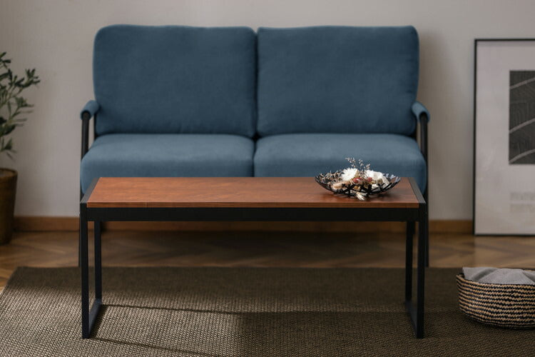 アイリスオーヤマ スチールフレームセンターテーブル 幅100 ローテーブル センターテーブル リビングテーブル 木目調 北欧 おしゃれ ウォールナット SFCT-1000 IRIS OYAMA(代引不可)