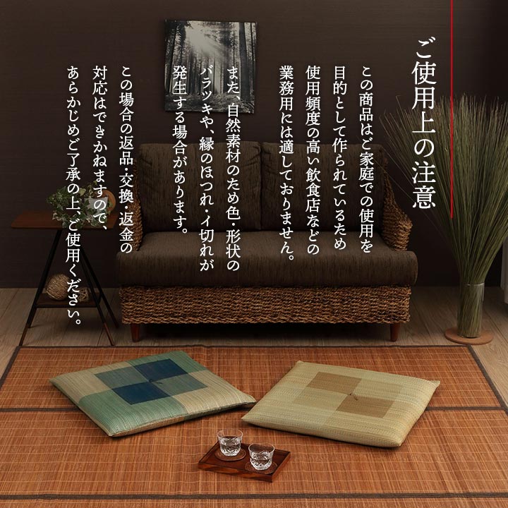 2枚組 日本製 い草 座布団 クッション シンプル 捺染 約55×55cm(代引不可)