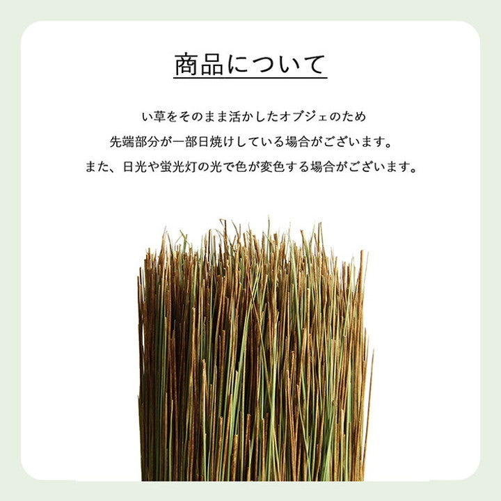 国産 日本製 い草 インテリア オブジェ 消臭 空気清浄 ナチュラル 植物 置物 95×10cm 調温 おしゃれ 北欧 オールシーズン 一人暮らし 新生活 かわいい お洒落 オシャレ イグサ(代引不可)