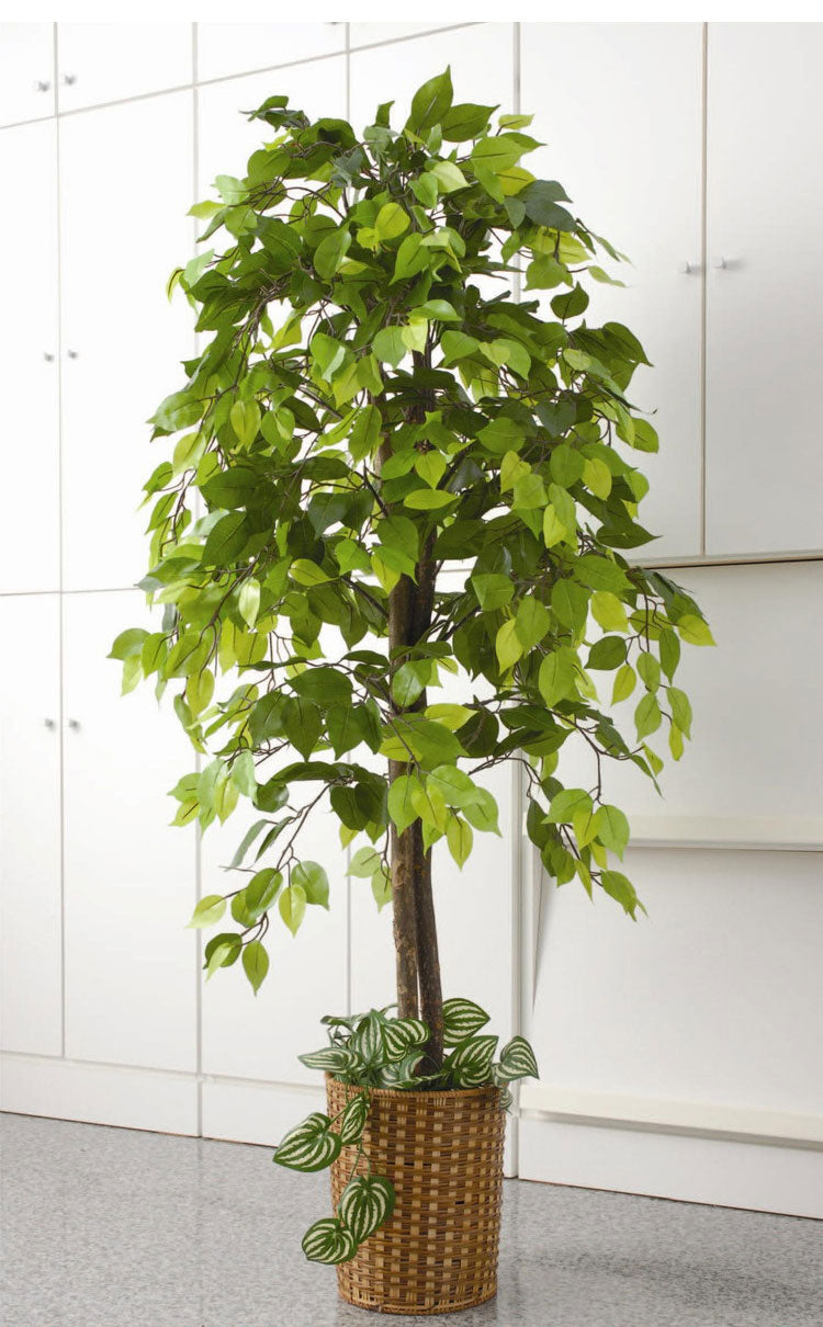 ベンジャミンS フェイクグリーン インテリア オフィス 植木鉢 造花 リアル 人工観葉植物 観葉植物 グリーン 緩衝用 ベンジャミン おしゃれ 室内 部屋 玄関(代引不可)