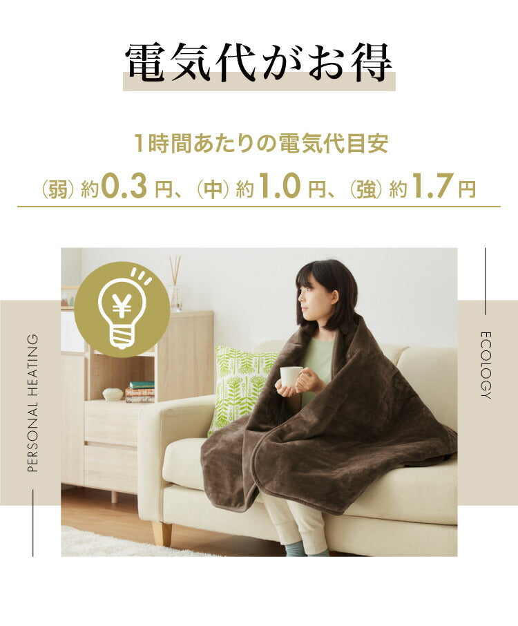 フランネル掛敷電気毛布 188×180cm ダブル 洗える 電気毛布 抗菌 防臭 防ダニ 本体丸洗い 室温センサー ダニ退治 ブラウン 掛け敷き