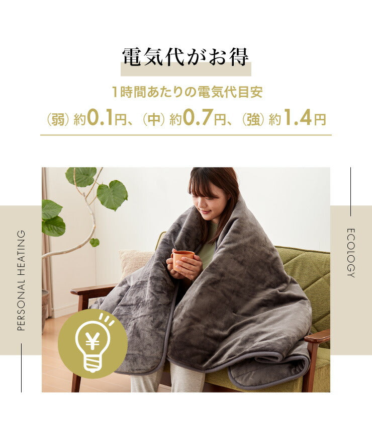 フランネル 電気掛け敷き毛布 188×130cm 消臭 デオテックス 本体丸洗い可能 ダニ退治 スライド調節 室温センサー 電気毛布