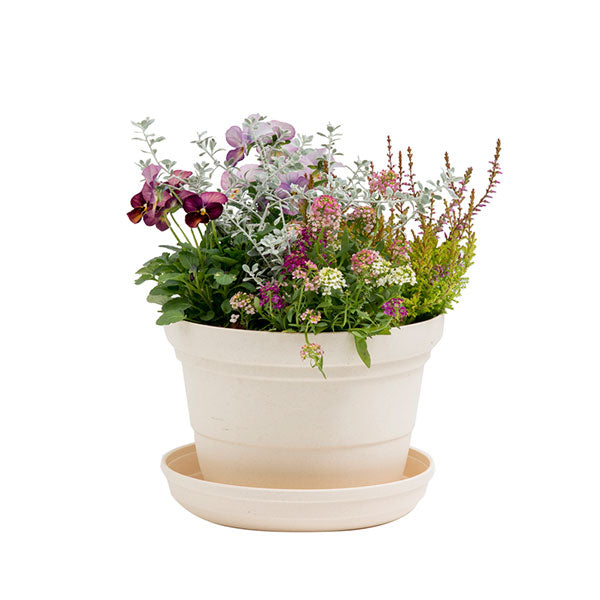 【3個セット】リッチェル ひよっこ ポット 6号 ベージュ