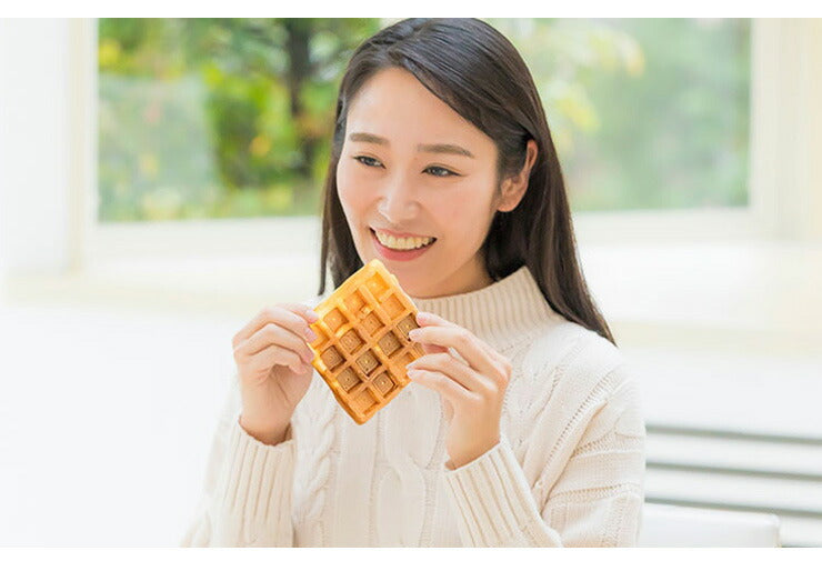 着脱式 サンドメーカー 2in1 ホットサンド ワッフル 両面焼き 2枚焼き 洗える 家庭用 お菓子 プレスサンドメーカー プレート2種 調理器具 キッチン コンパクト 朝食 スイーツ KDHS-004W D-STYLIST