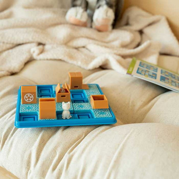 キャット&ボックス ドリームブロッサム(代引不可)