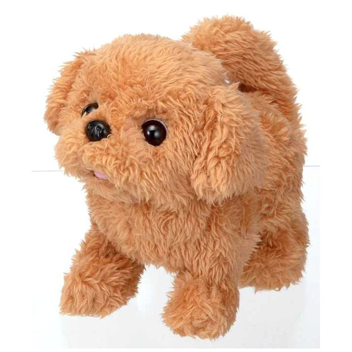 イワヤ ピッコリーネ トイプードル(代引不可)