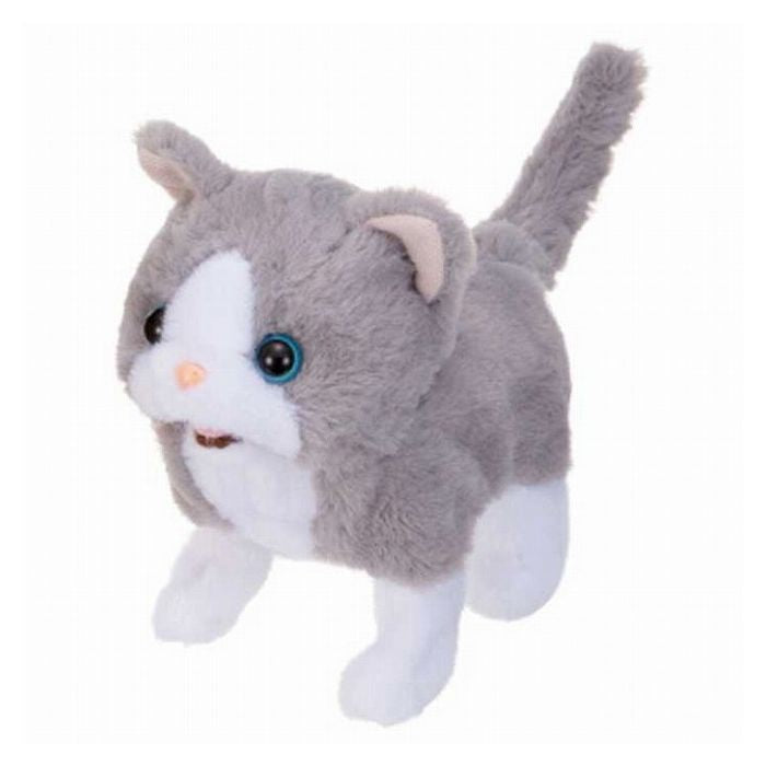 イワヤ ピッコリーネ ブリティッシュ(代引不可)