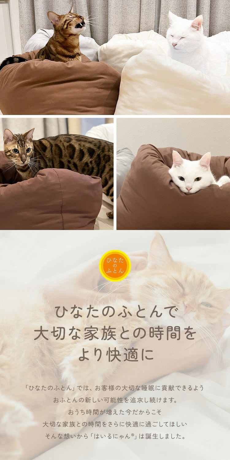 はいるにゃんシリーズ ねこの羽毛ふとん OFURO 羽毛 ニューゴールドラベル ペットベッド クッション ベッド 猫用 犬用 ペット 小型犬 洗える 犬 猫 ペットグッズ ペットマット ふわふわ ベッド(代引不可)