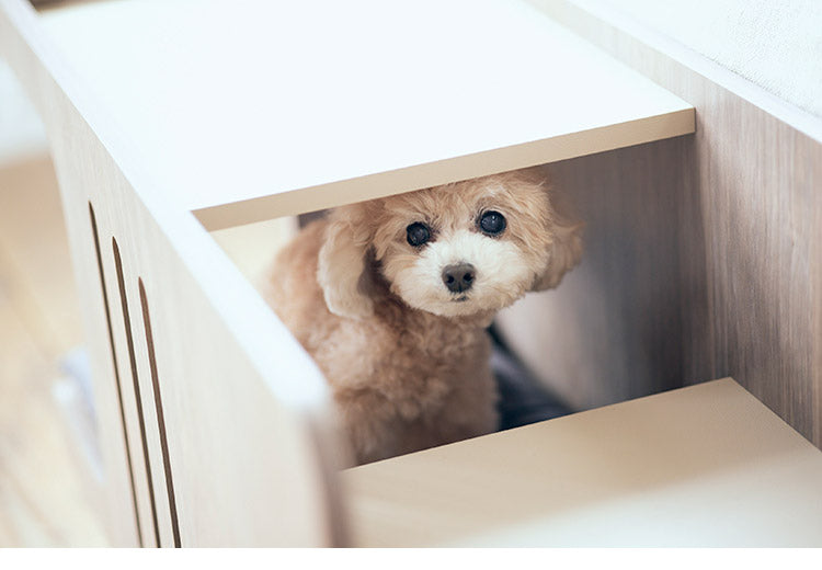 【500円OFF】フランスペット ペットステップベンチ PE01 ドッグステップ ペット 犬 小型犬 高齢犬 シニア犬 老犬 介護 ペット用 段差 階段 ベッドサイド ペット家具 フランスベッド(代引不可)