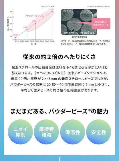 【5%OFF】ビーズクッション MOGU モグ 雲にのる夢枕 専用カバー 正規品 日本製 洗える ジャンボ 特大 ビーズクッション ビーズソファー クッション ローソファー ソファーベッド 在宅勤務 リモートワーク
