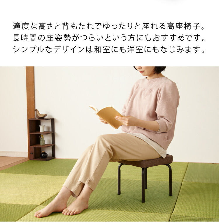 ロースツール 2脚セット 完成品 スタッキング 組み立て不要 スツール チェア シンプル ミーティングチェア 背無し 収納 コンパクト 和室 収納(代引不可)