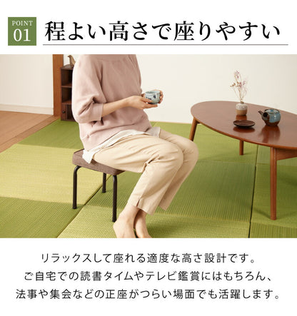 ロースツール 2脚セット 完成品 スタッキング 組み立て不要 スツール チェア シンプル ミーティングチェア 背無し 収納 コンパクト 和室 収納(代引不可)