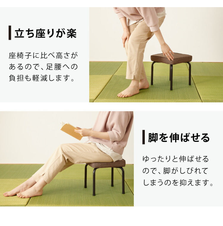 ロースツール 2脚セット 完成品 スタッキング 組み立て不要 スツール チェア シンプル ミーティングチェア 背無し 収納 コンパクト 和室 収納(代引不可)