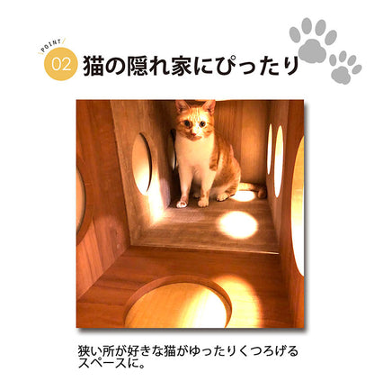 オープンラックシステム 猫ホーム 3S カラーボックス 組み合わせ 猫ハウス キャットハウス 猫グッズ オープンラック 収納ボックス ラック 収納棚 リビング収納 ディスプレイラック シェルフ DIY(代引不可)