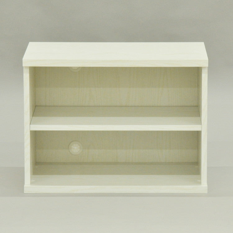 収納棚 セレクトシリーズ 約幅59×奥行き40×高さ43.5cm コード穴付き 収納棚 収納ボックス 本棚 コミック 横置き 収納 コミックラック(代引不可)