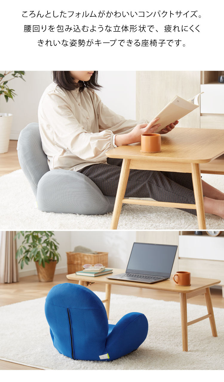 ストレッチ座椅子 ウォッシャブル 専用カバー 単品 洗える 洗濯可能 おしゃれ カバー ライトグレー グリーン ライトブルー 座椅子(代引不可)