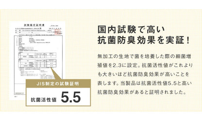 昭和西川 布団6点セット シングル テイジン製マイティトップ使用 洗える 抗菌防臭 防ダニ ほこりが出にくい 固綿入り3層敷布団 頸椎安定型枕 カバー3点セット付 収納ケース付 低ホルム 帝人 カバー付 西川 にしかわ