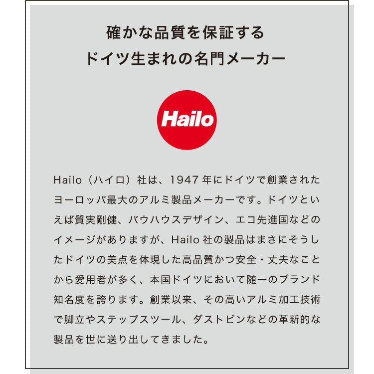 【5%OFF】Hailo ハイロ ゴミ箱 ごみ箱 ダストボックス ニュービッグボックス40L 40リットル 白 ホワイト 屋外 スリム ふた付き キッチン おしゃれ スタイリッシュ 角型 大容量 スチール ドイツ製(代引不可)