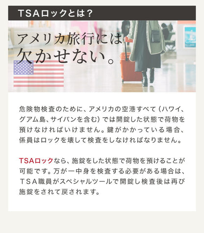 スーツケース Sサイズ 軽量 機内持ち込み かわいい キャリーケース おしゃれ キャリーバッグ 旅行かばん TSAロック ハード 3泊~5泊 女子 レディース シンプル 大人 きれいめ カジュアル(代引不可)