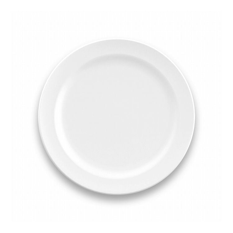 エッジマットホワイト サラダプレート 21cm ターホン TarHong メラミン食器 22cm 割れにくい おしゃれ 食洗機対応 プレート お皿 ワンプレート 可愛い 電子レンジ不可 食洗機対応(代引不可)