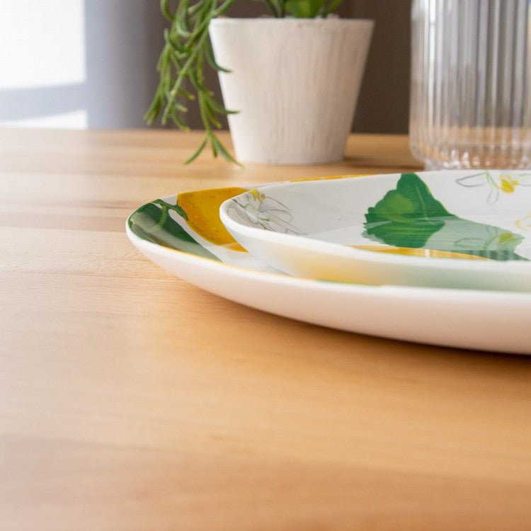 フレッシュレモン サラダプレート 22cm ターホン TarHong メラミン食器 22cm 割れにくい おしゃれ 食洗機対応 プレート お皿 ワンプレート 可愛い 電子レンジ不可 食洗機対応(代引不可)