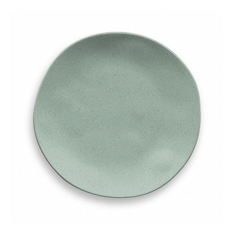 麦わらPP オーガニック ディナープレート 27cm セージグリーン ポリプロピレン製 ターホン TarHong 割れにくい食器 27cm おしゃれ 電子レンジ対応 食洗機対応 プレート お皿 エコ ワンプレート(代引不可)
