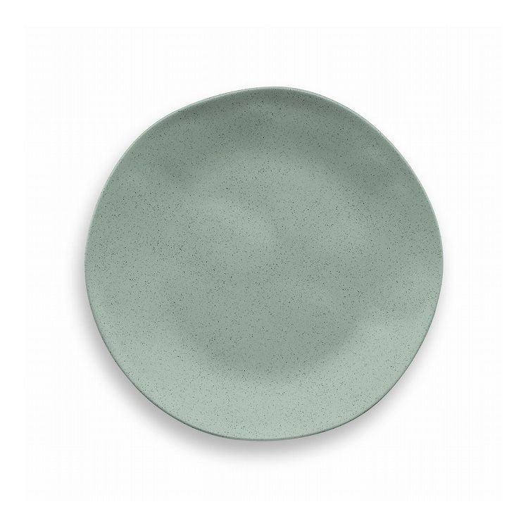 麦わらPP オーガニック サラダプレート 22cm セージグリーン ポリプロピレン製 ターホン TarHong 割れにくい食器 22cm おしゃれ 電子レンジ対応 食洗機対応 プレート お皿 ワンプレート エコ 可愛い(代引不可)
