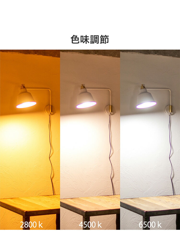 リモコン電球セット 1灯ウォールライト デックスコラットリモート LED フロアライト スタンドライト 調光 バーライト 調色 照明 北欧 インテリア 電気 間接照明(代引不可)