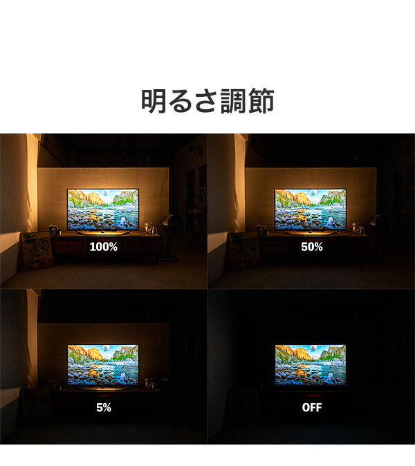 リモコン・ベースセット ショートマンクス フロアライト 真鍮タイプ LED フロアライト スタンドライト 調光 バーライト 調色 照明 北欧 インテリア 電気(代引不可)