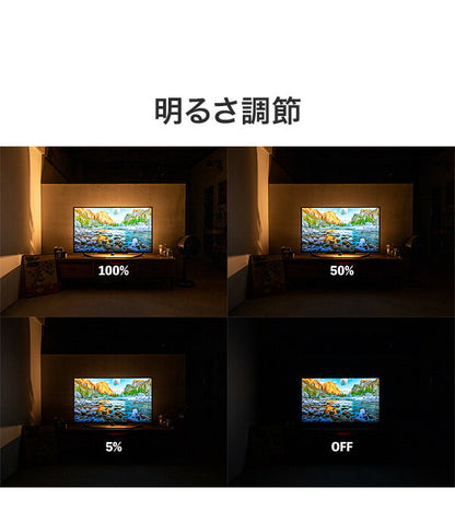 リモコン・ベースセット ショートマンクス フロアライト 真鍮タイプ LED フロアライト スタンドライト 調光 バーライト 調色 照明 北欧 インテリア 電気(代引不可)