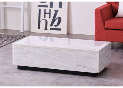 一生紀 センターテーブル 幅105 大理石調 STAN 大容量収納付き 引き出し2杯 ローテーブル マーブル調 ストーン柄 韓国インテリア 白 モノトーン モダン おしゃれ ISSEIKI(代引不可)