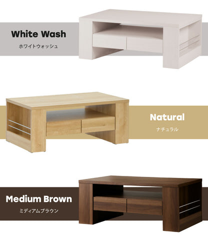 センターテーブル 完成品 大容量収納付き 幅100 ローテーブル 隠しキャスター 引出し 棚付き リビングテーブル コンクリート HORNET ホーネット ISSEIKI 一生紀(代引不可)