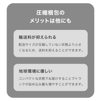 ヌードクッション 45×45cm 単品 東レ ft綿 圧縮梱包 コンパクト 日本製 国産 洗える 洗濯 手洗い ウォッシャブル インナー ポリエステル 背もたれ 1個 インテリア シンプル ベーシック 寝具 一個