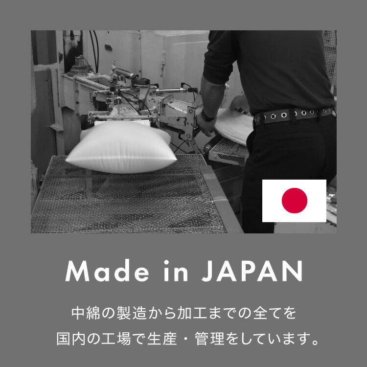 ヌードクッション 50×50cm 6個セット 6p 東レ ft綿 圧縮梱包 コンパクト 日本製 国産 洗える 洗濯 手洗い ウォッシャブル インナー ポリエステル 背もたれ 6set インテリア シンプル ベーシック 寝具