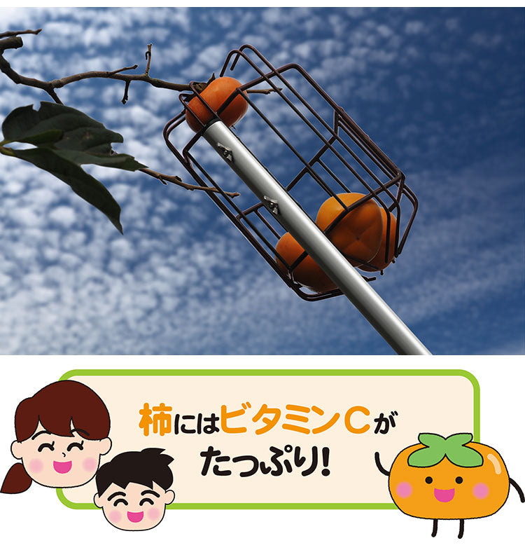 お庭の柿採りバスケット 柿取り棒 柿取り器 アルミ合金 軽量 くだもの 収穫 柿 かき 柿採り 柿取り 熊対策 フルーツピッカー 果物収穫 園芸 バスケット カゴ 引っ掛けて引っ張るだけ A-78168