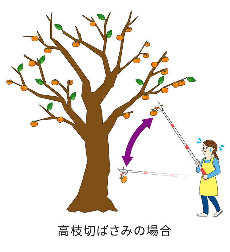 お庭の柿採りバスケット 柿取り棒 柿取り器 アルミ合金 軽量 くだもの 収穫 柿 かき 柿採り 柿取り 熊対策 フルーツピッカー 果物収穫 園芸 バスケット カゴ 引っ掛けて引っ張るだけ A-78168