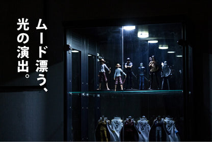 ※オプション 丸型LEDダウンライト 丸型 LEDライト コレクションラック専用 (代引不可)