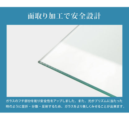 サラII 60 ロータイプ 段差式タイプ コレクションラック 幅60cm 高さ160cm 奥行40cm 開梱設置無料 大型フィギュアケース(代引不可)