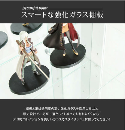 ※オプション サラII 60 専用追加ガラス棚 ガラス板 棚板 追加用 ガラスのみ 段差式 奥深タイプ 立体感(代引不可)