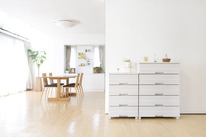 天馬 フィッツプラス イージー FE5504 カプチーノ Fits 衣類収納 収納ケース チェスト クローゼット収納 押し入れ収納 押入れ収納 tenma 幅55cm 奥行41cm 高さ85cm(代引不可)