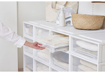 【2個セット】 天馬 fits フィッツ 衣装ケース 衣類ケース 衣装BOX 衣類BOX BOX収納 衣類収納 ケース 押し入れ タンス クローゼット WIC 整理 衣替え 幅39cm 奥行53cm 高さ18cm ホワイトクリア 53-39S(代引不可)