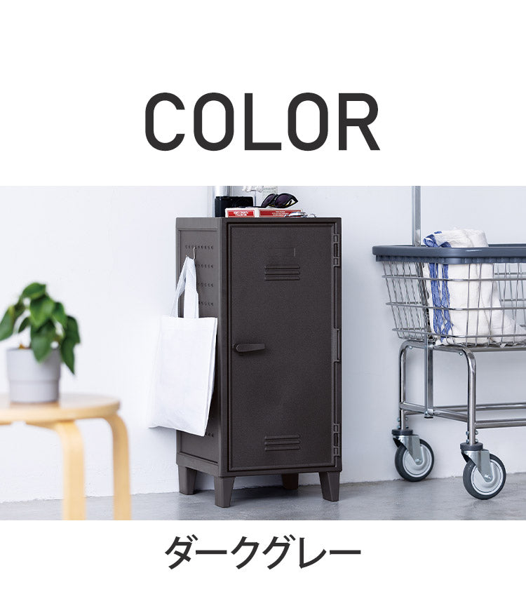 ロッカー風収納ケース ペグボード付き 扉 キャビネット ラック 棚 収納ボックス プラスチック収納 フィッツ Fits おしゃれ シンプル(代引不可)